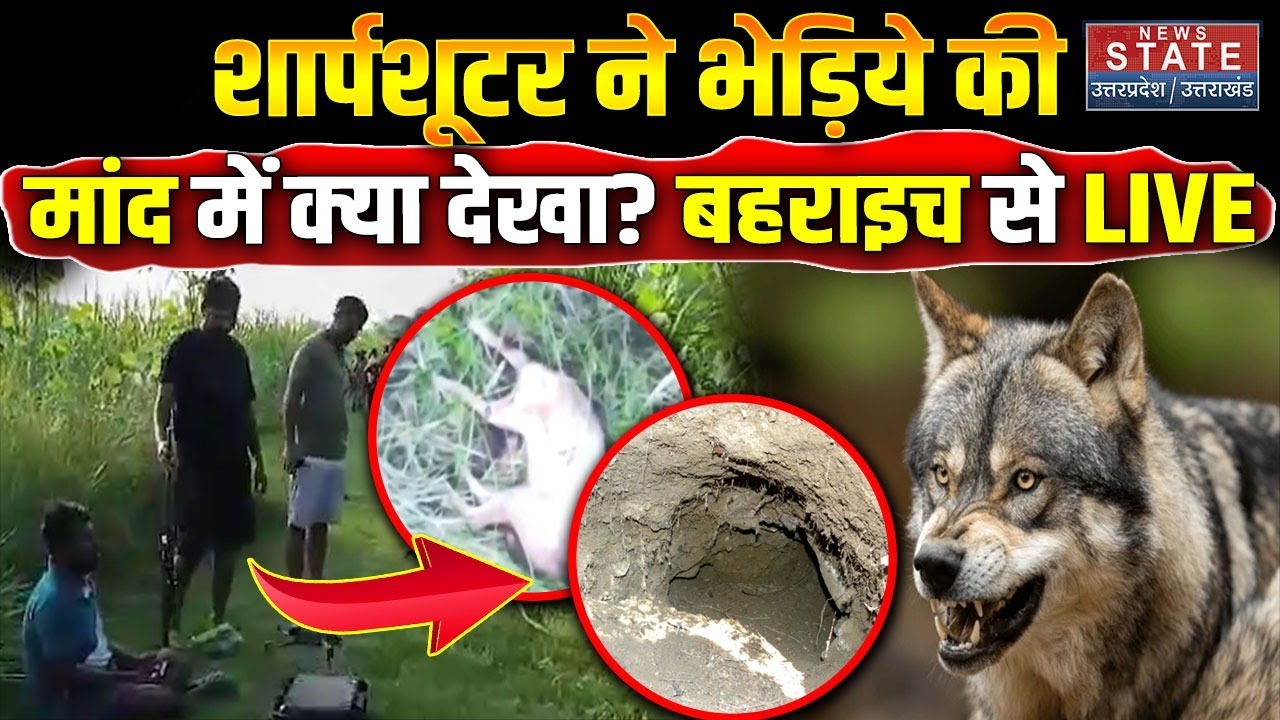 Bahraich Wolf Attack : आदमखोर की मांद में शार्प शूटर ने क्या देखा? LIVE कैमरे पर सब बताया