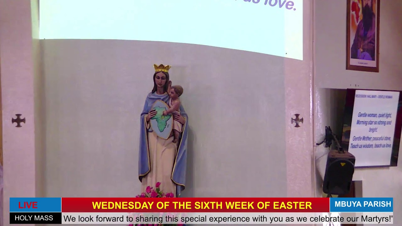 Catholic Mass Today || Daily Mass - Wednesday 28th May 2025 || Daily Mass Online