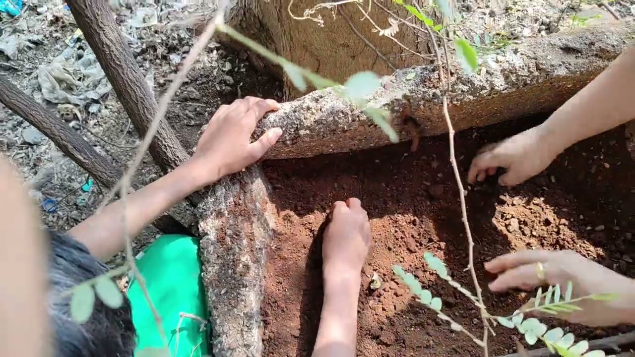 🏫 THE ELITE PUBLIC SCHOOL TALOJA 🏫  🌱 PLANTING VEGETABLES 🌱