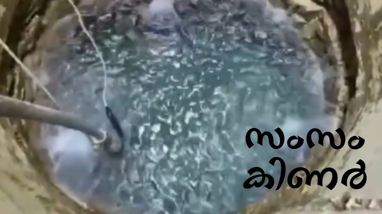 ഒരിക്കലും വറ്റാത്ത കിണർ സംസം#zamzam #miracle #viralvideo 