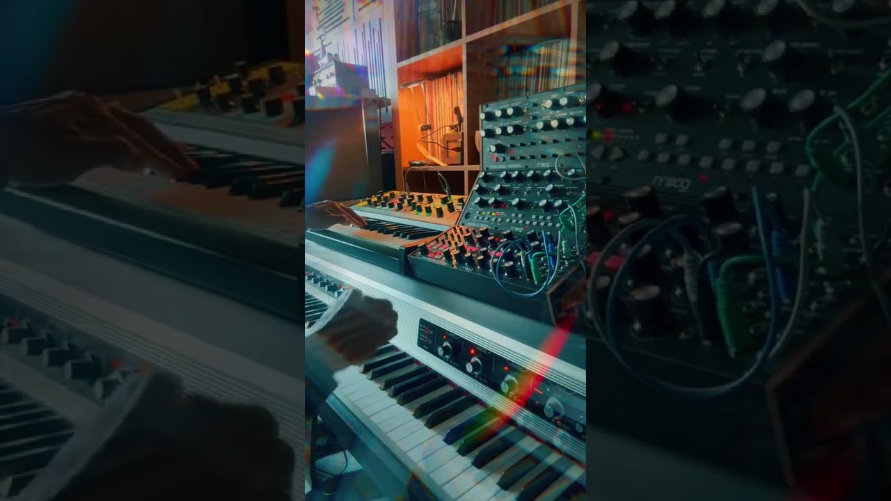 Goo le Gooster - Bomboclat Turd Reich &copy; DFAM + Mother32 + Subharmonicon + RhodesMk8 + GrandMother