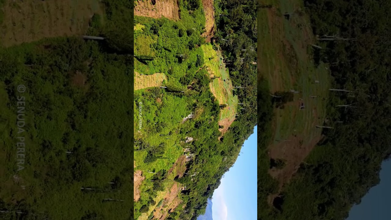 - Sri Lanka 🇱🇰 #dji #djimavicmini #srilanka #nature #aerialvideography #fyp #mountains #travel