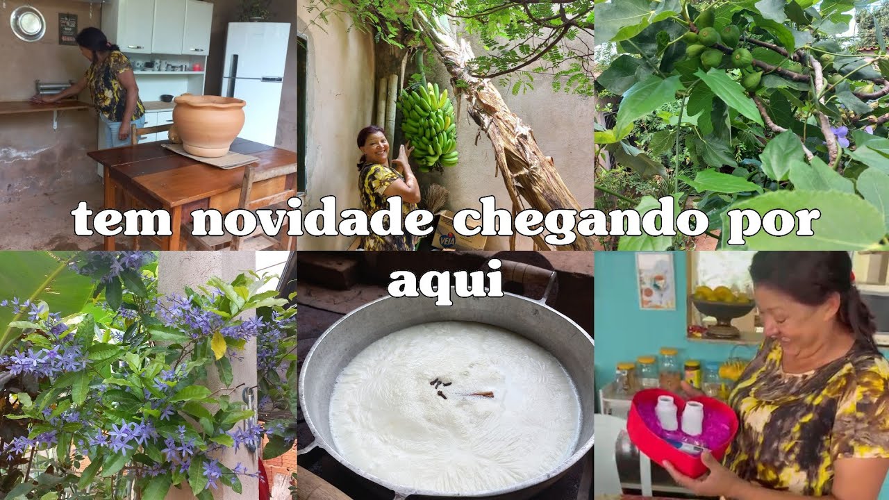 Tem novidade chegando! limpeza na área externa, jardim florido, fartura no quintal, 