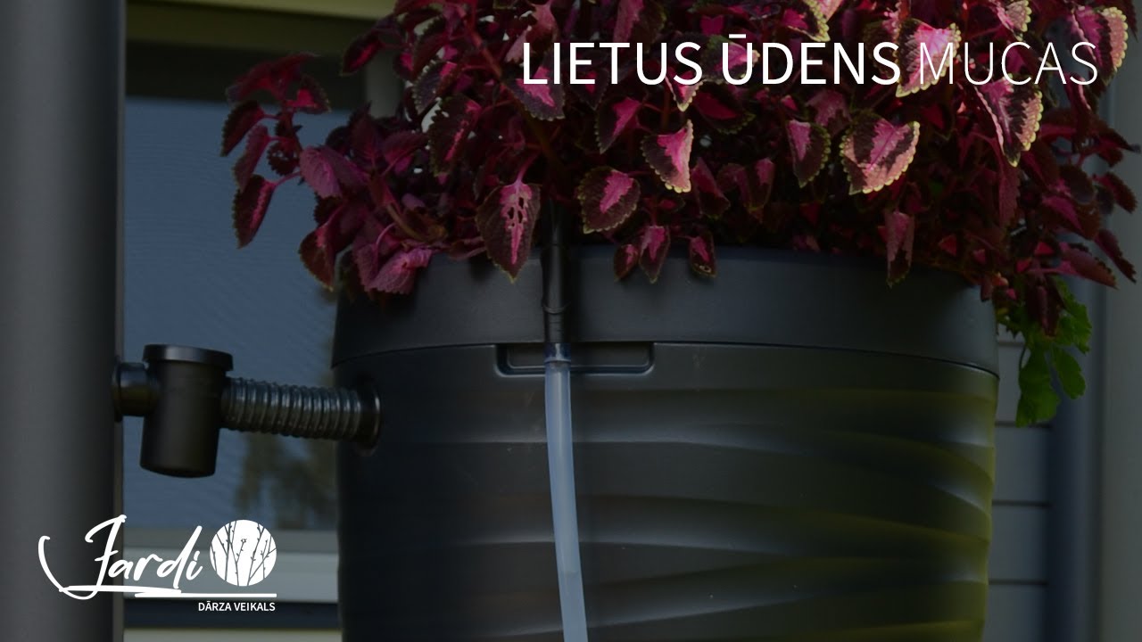 KĀ DARBOJAS LIETUS 💧 ŪDENS MUCAS?