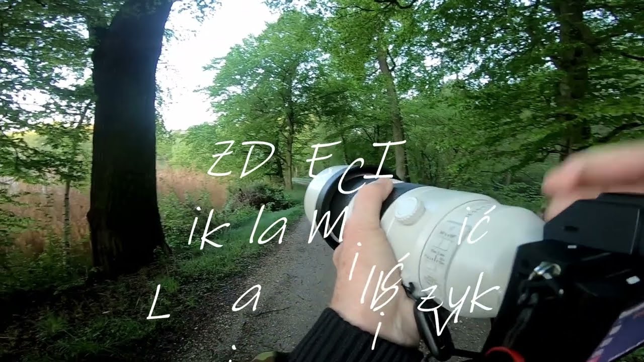 Ukryty Leśny Staw