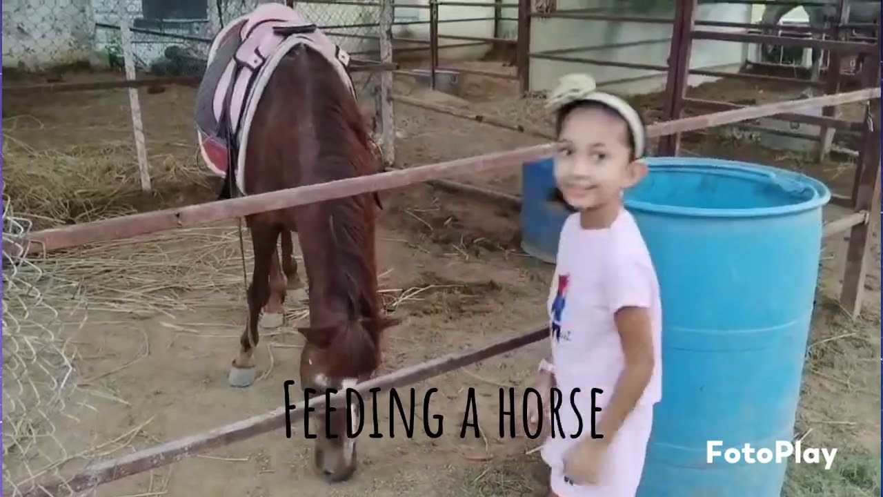 Duke Horse Riding Club 🐎🏇 I had to repost it