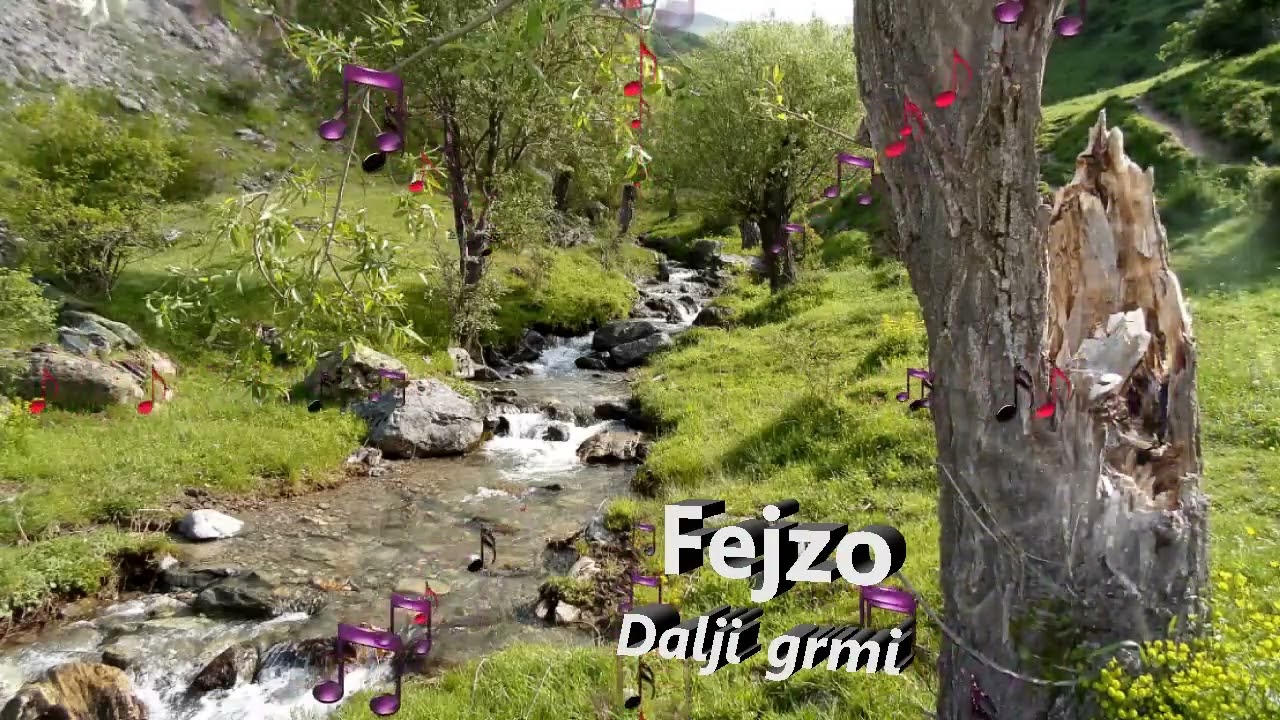 Fejzo   Dalji grmi
