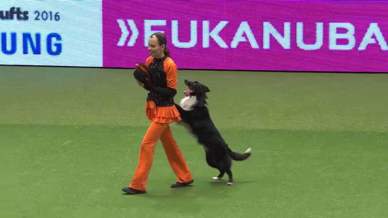 29 Lucie Plevova Power Jump Aibara