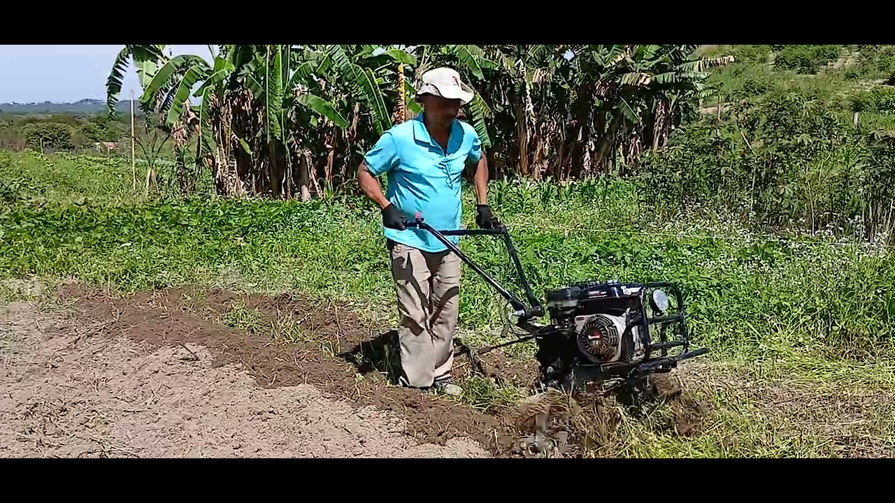 Vida na roça 