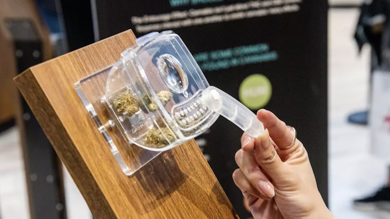 Nova Cannabis in Toronto has nearly 100 types of bud