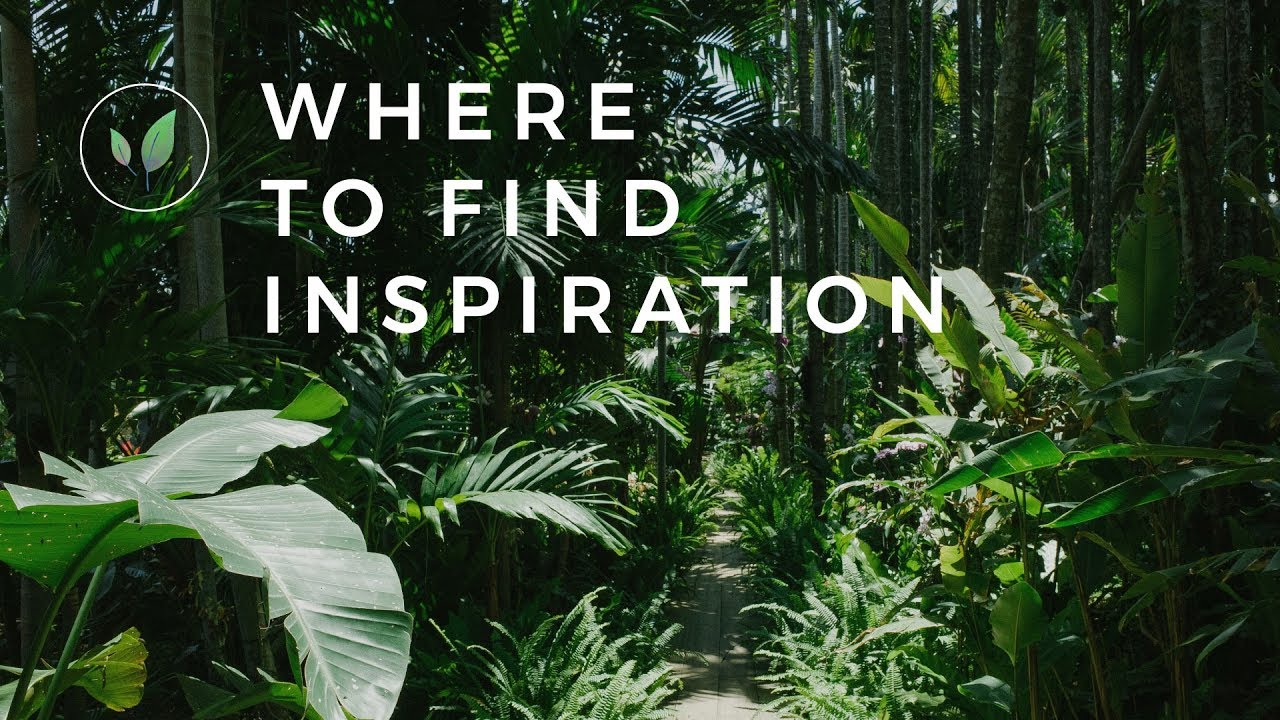 Artist&rsquo;s Inspiration from Botanical Gardens