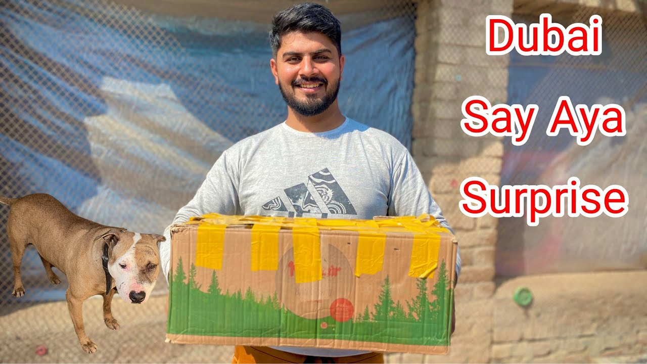 Dubai Say Bhai Nay Surprise Bheja Ajj 🥰| Tonny Or Kani ki jung