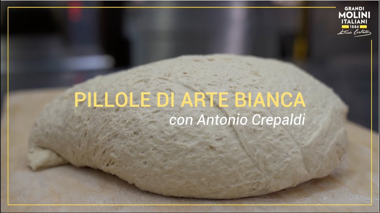 Pillole di Arte Bianca - I lieviti naturali e i semilavorati