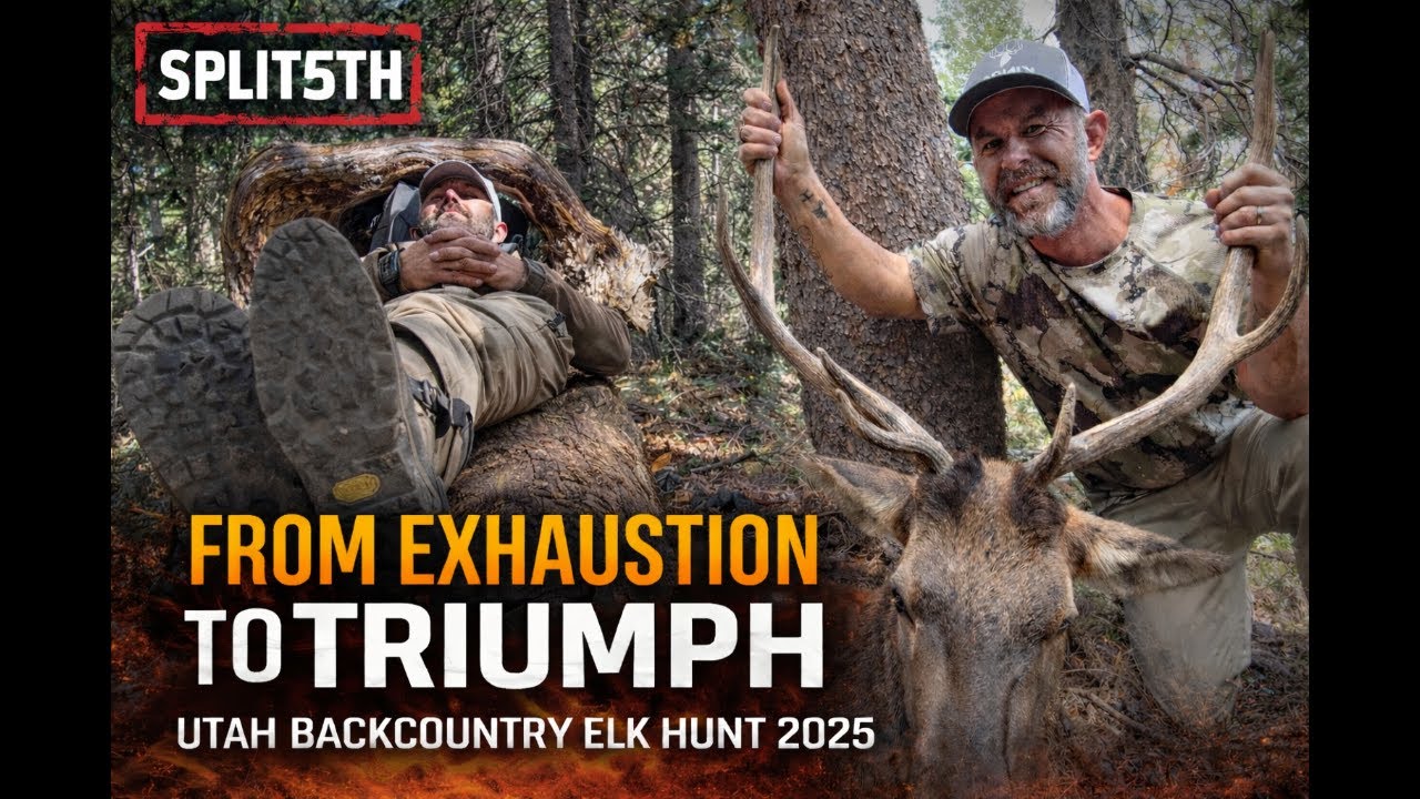 From exhaustion to Triumph