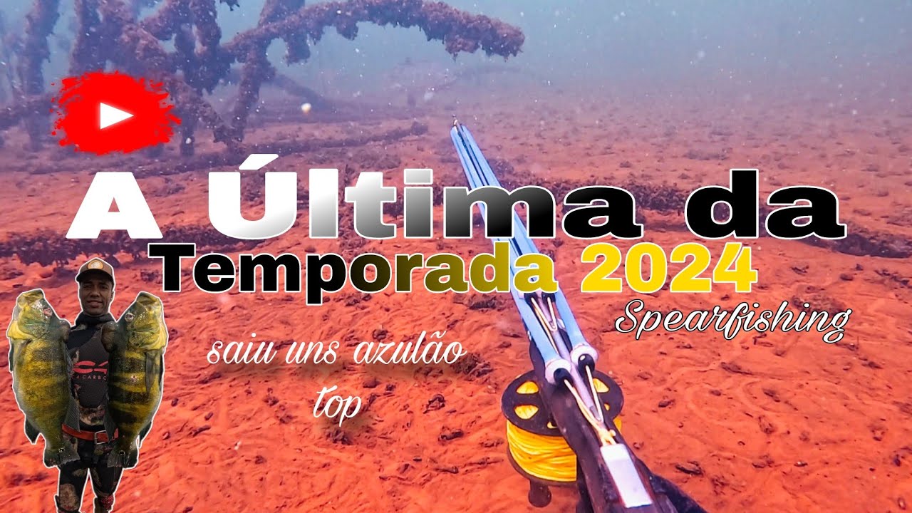 Última pesca da temporada 2024- Os azul apareceu #CoronadoSub
