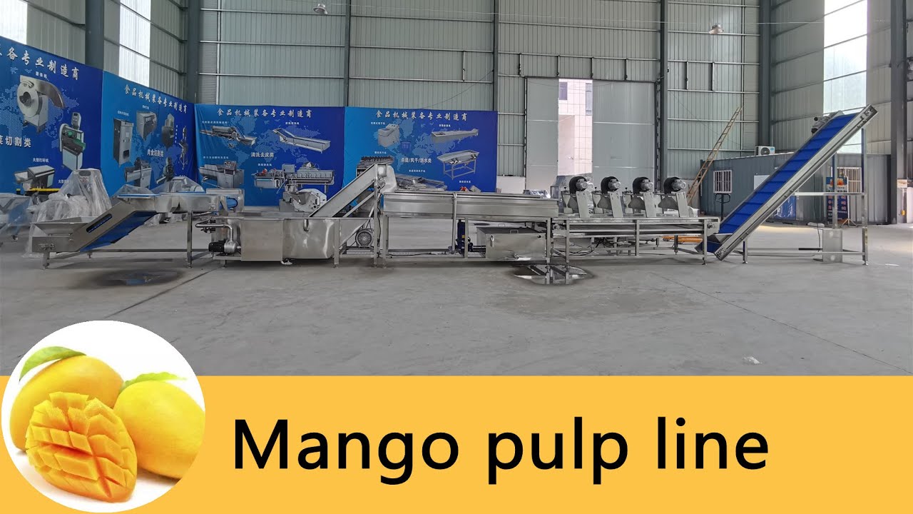 Mango pulp processing line from Zibo Unique Machinery