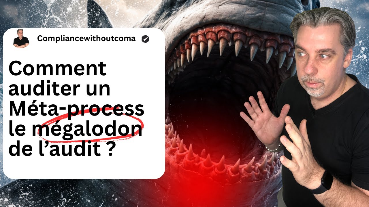 Episode 49 :  Comment auditer un méta-process le mégalodon de l'audit ?