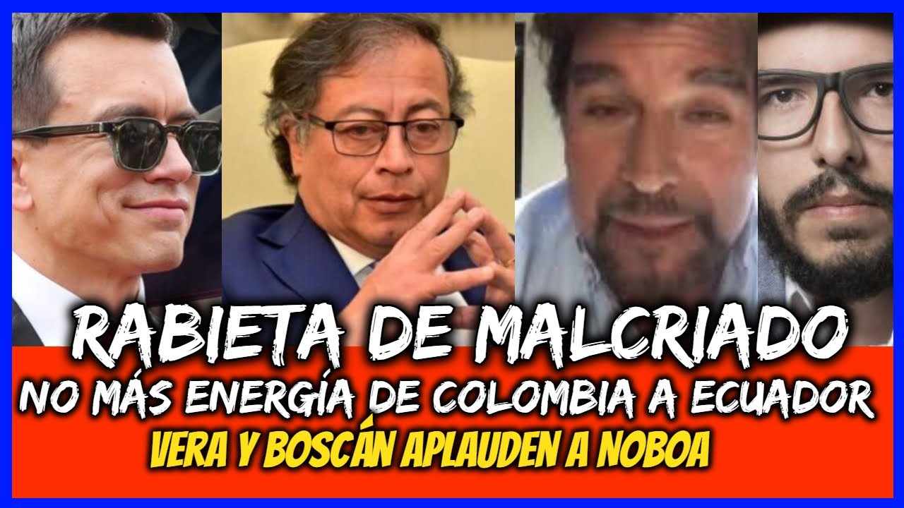 Rabieta de malcriado. No más energía de Colombia a Ecuador. Vera y Boscán aplauden a Noboa