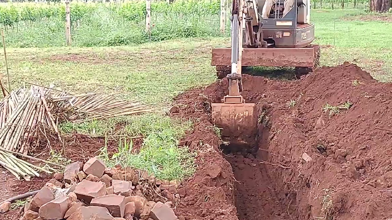 fazenda cravinhos abrindo valeta pra irriga&ccedil;&atilde;o das uvas