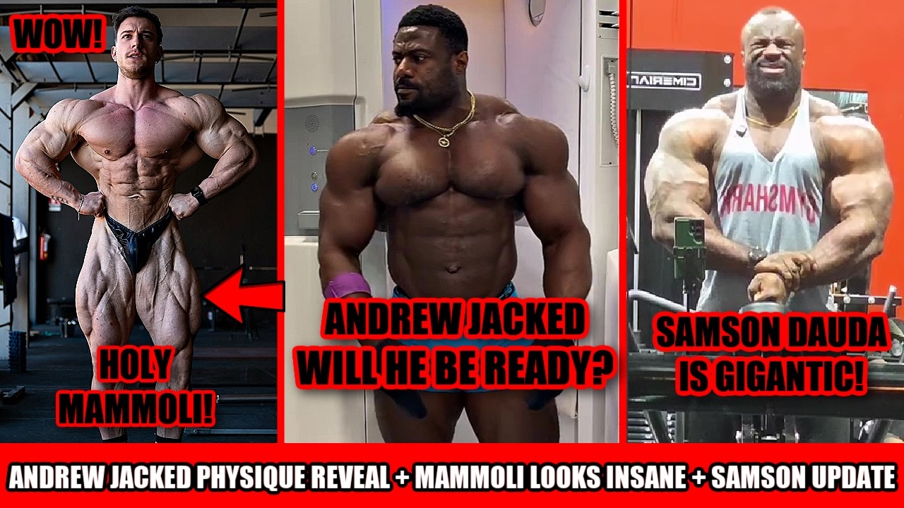 Will Andrew Jacked be in shape? + Andrea Mammoli could win? + Samson Dauda Update + Wildcards + MORE