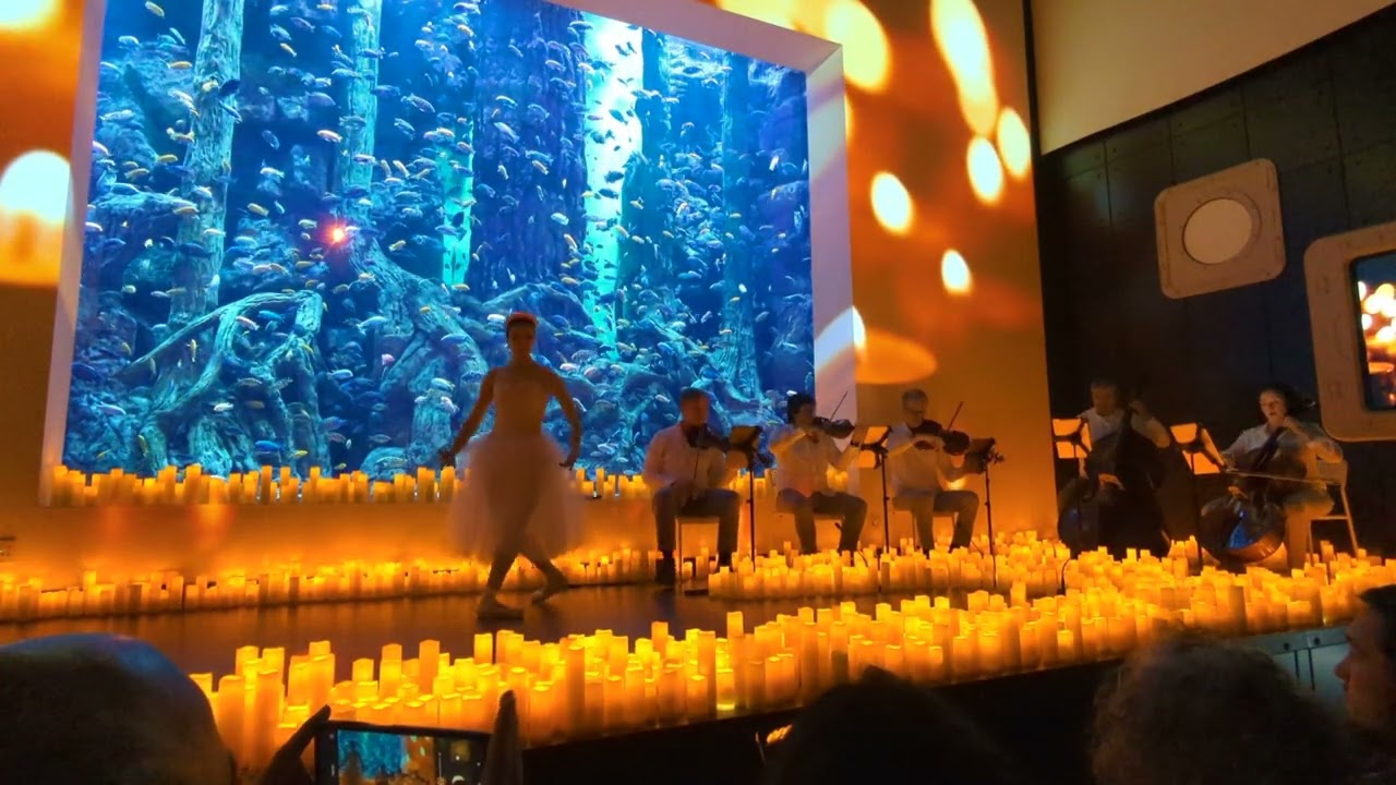 Candlelight: Tchaikovsky, El Cascanueces y más en el Acuario de Sevilla