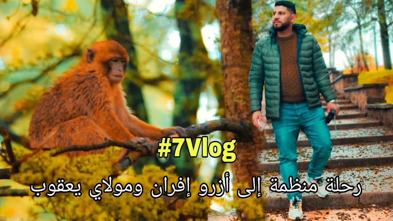 #7Vlog: Voyage Organisé à Azrou, Ifrane et Molay Yaakoub