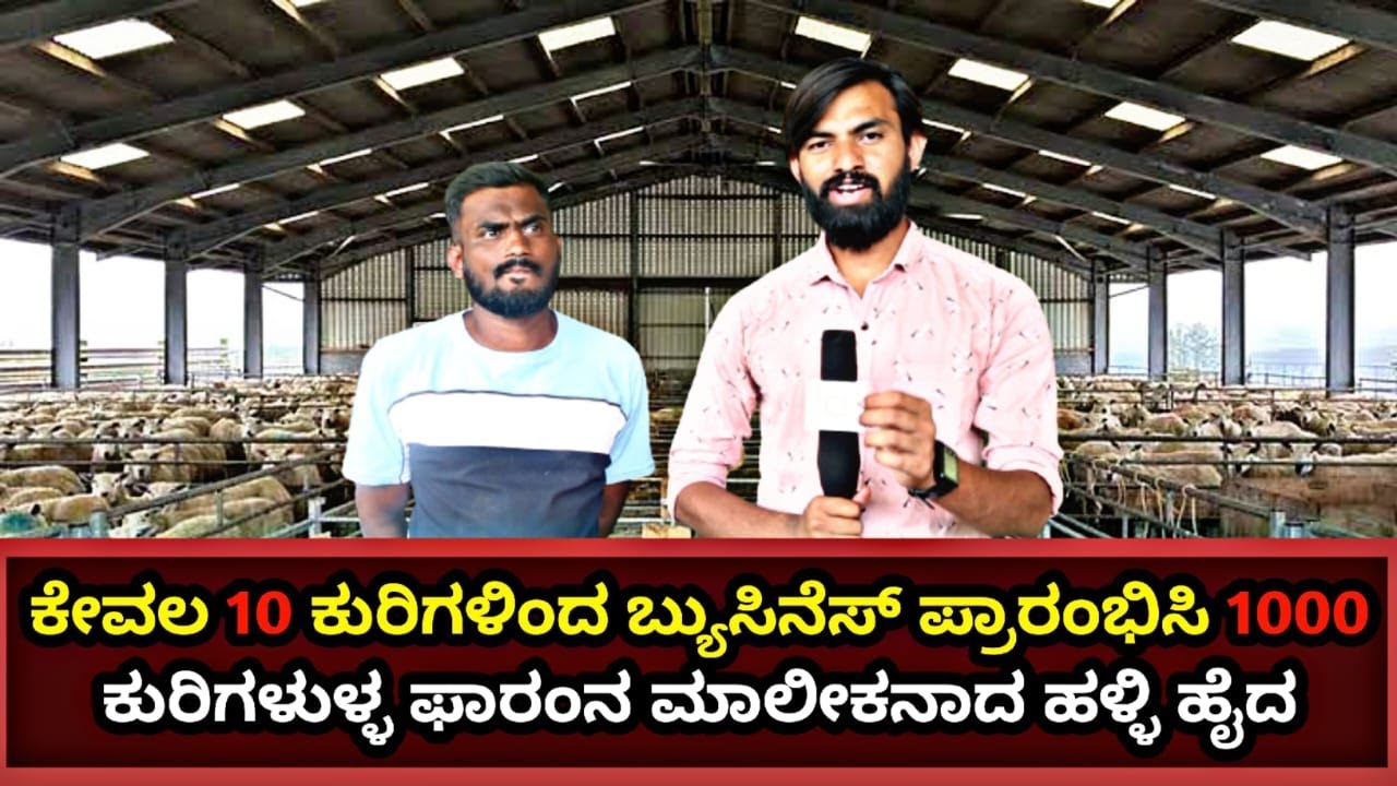 A young man who acquired 1000 sheep from 10 sheep | goat farming | goat farm | kannada | karnataka