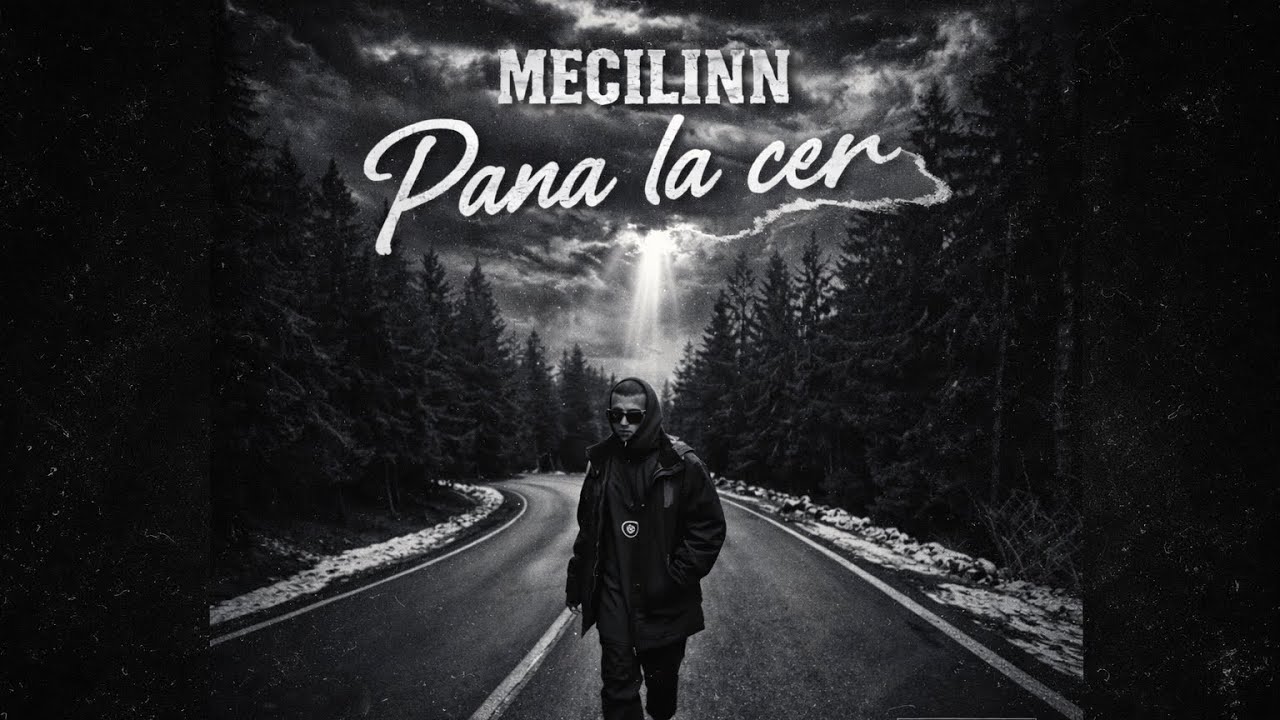 MECILINN - Pana la cer (Official Audio)