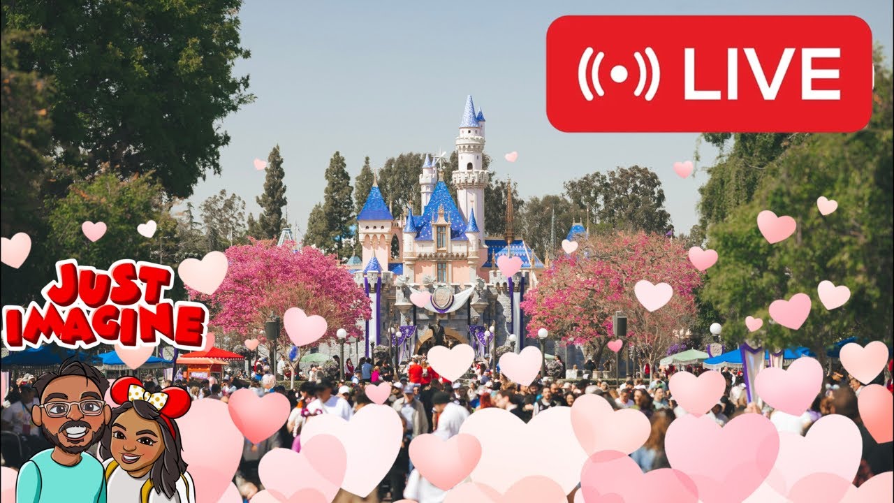 🔴❤️ Valentines Day 💞 at Disneyland Resort