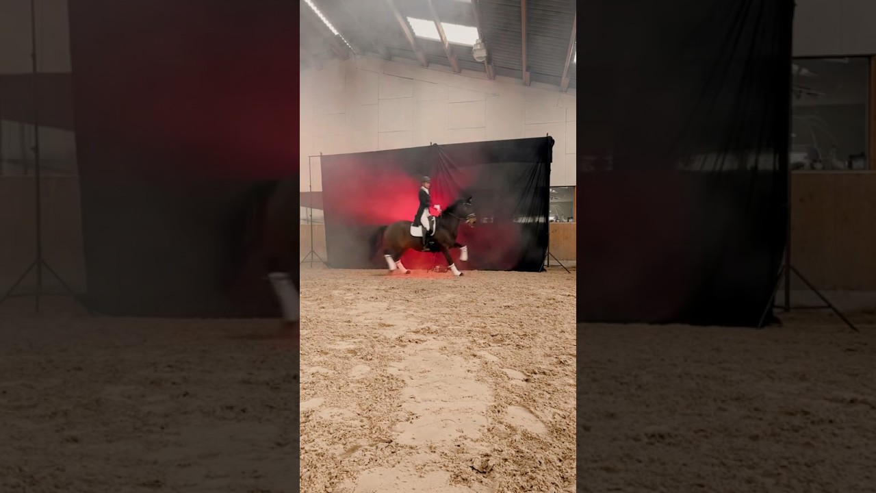 Wenn dein Pferd geblitzt wird #fail #shooting #equestrian #horse #pferde #dressur