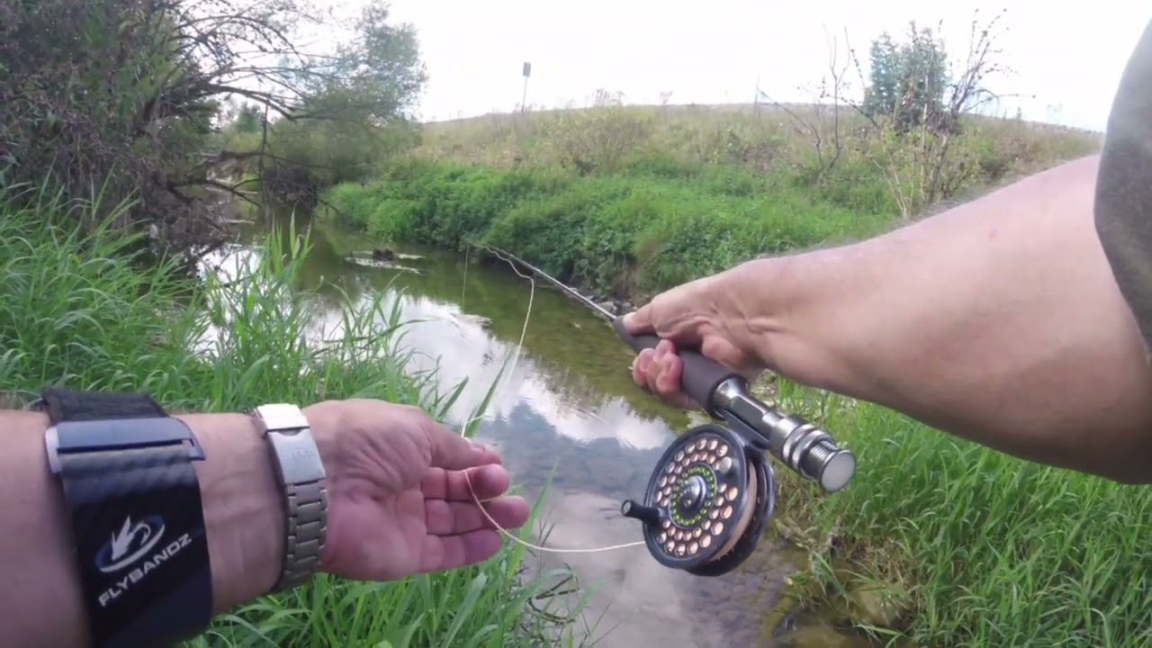 Fliegenfischen an der Kirnach