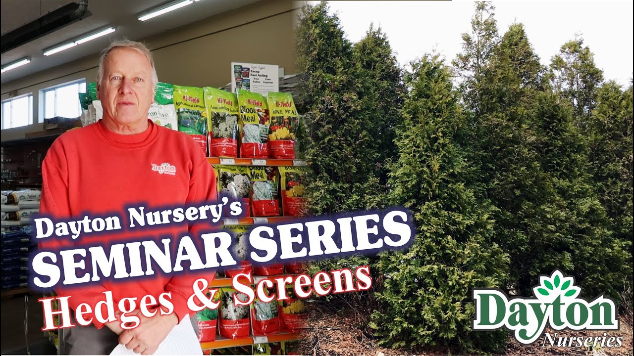 The Best Plants for Hedges & Screens