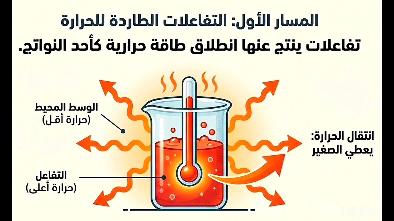 ١٠ دقايق بس التفاعلات الكيميائية الطاردة والماصة للحرارة علوم تانية اعدادى ترم تانى جديد 2026