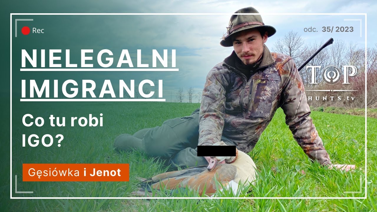 Polowanie na IGO