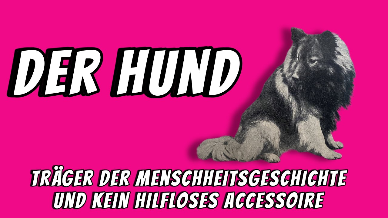 Der Hund: Maßgeblicher Träger der Menschheitsgeschichte und kein hilfloses Accessoire!