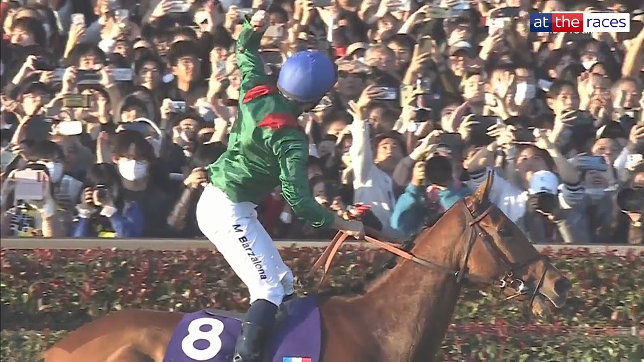 CALANDAGAN WINS THE JAPAN CUP IN A RECORD TIME! 🏆 ジャパンカップ