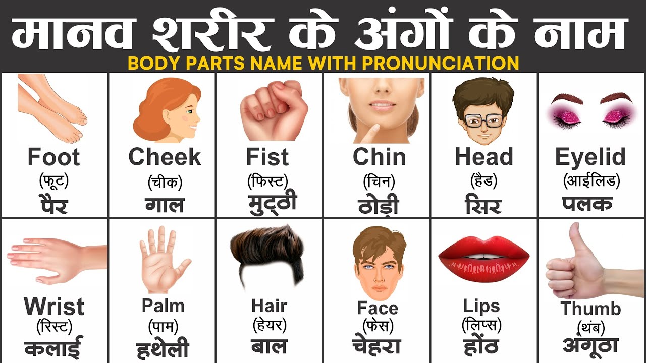 Body parts name with pronunciation | Learn Parts Of Body Name | Parts of Body Name in English