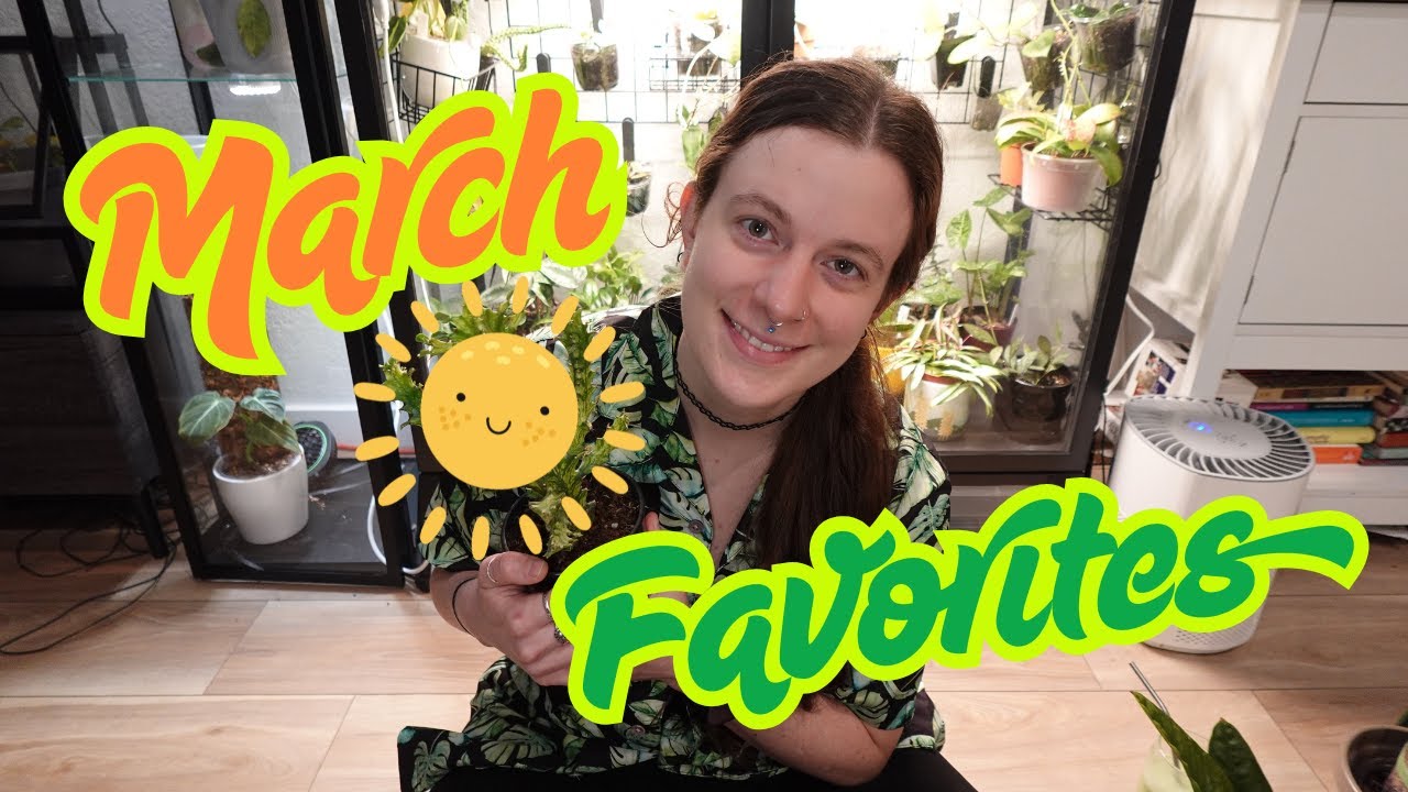 March Favorites! (& least favorites)