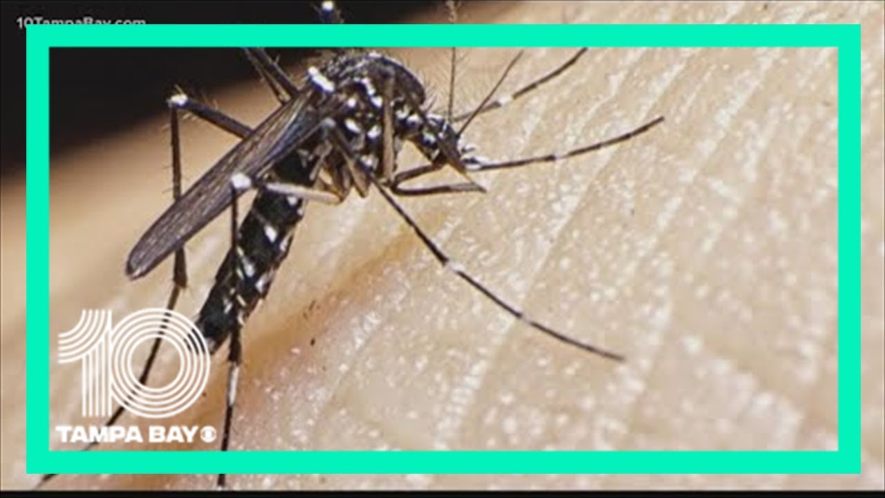 Here's why mosquito control workers are warning you about Eastern Equine Encephalitis