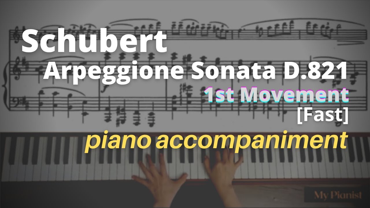 Schubert - Arpeggione Sonata D.821, 1st Mov: Piano Accompaniment [Fast]