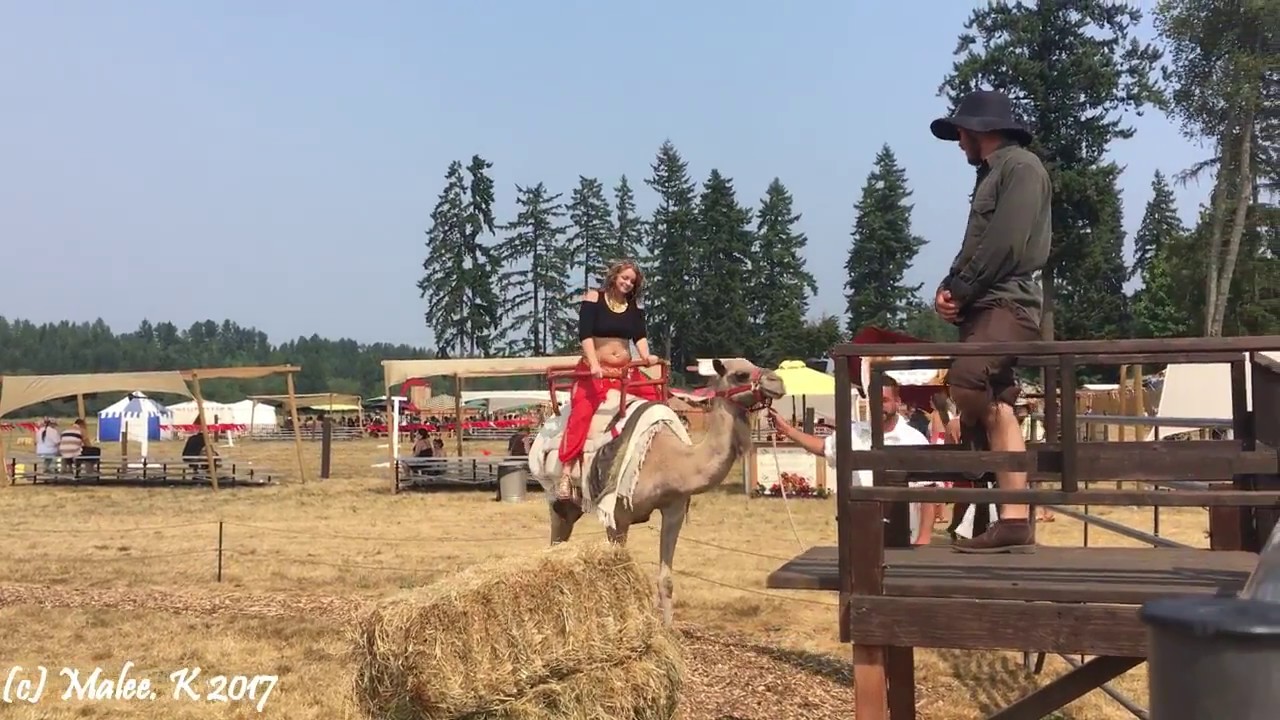 Washington MidSummer Renaissance Faire 2017: Riding a Camel for the First Time