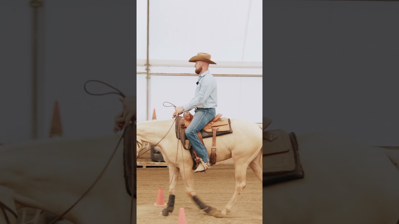 Master your horse's lead change!