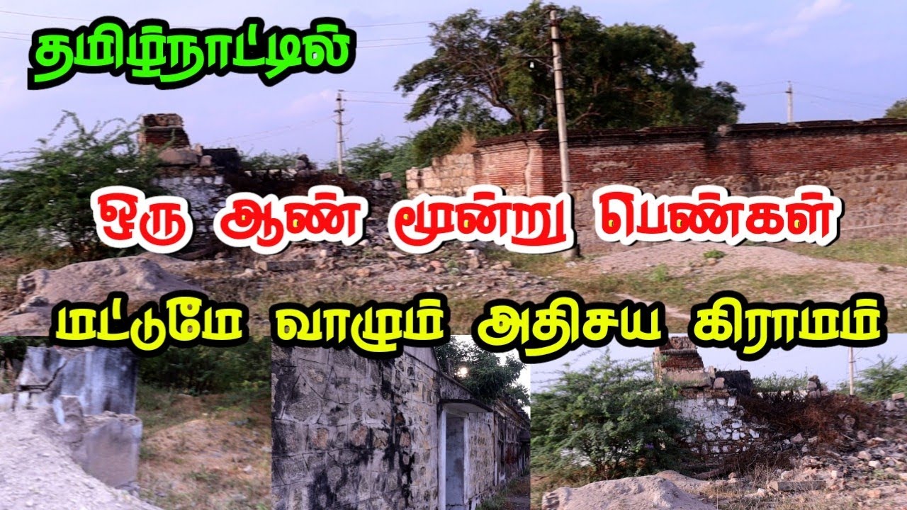ஒரு ஆண் மூன்று பெண்கள் மட்டுமே வாழும் தமிழ்நாட்டின் அதிசய கிராமம் காலியான வீடுகள் வெறிச்சோடிய ஊர்