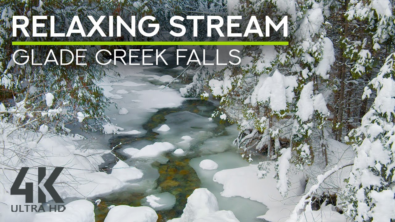 8 HRS Winter Ambience - Birds Chirping & Gentle Forest Stream Sounds - Nature Soundscape