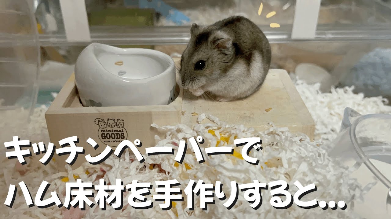【手作り床材】寒い冬を乗り越える為にハムスターの床材を手作りしてみました