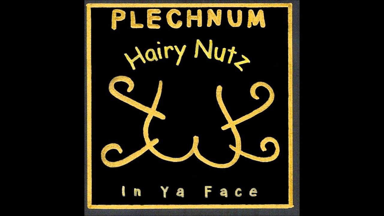 Plechnum - Gränzäbrächä feat. Terence