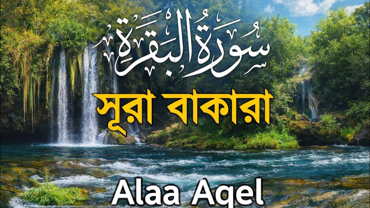 ঘরের সুখ-শান্তি ও রিজিক বৃদ্ধির জন্য সূরা বাকারা তিলাওয়াত| Surah Al Baqarah Full Quran