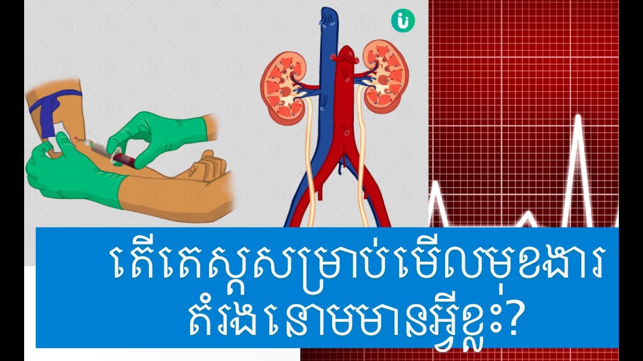 តើតេស្តសម្រាប់មើលមុខងារ តំរងនោមមានអ្វីខ្លះ?