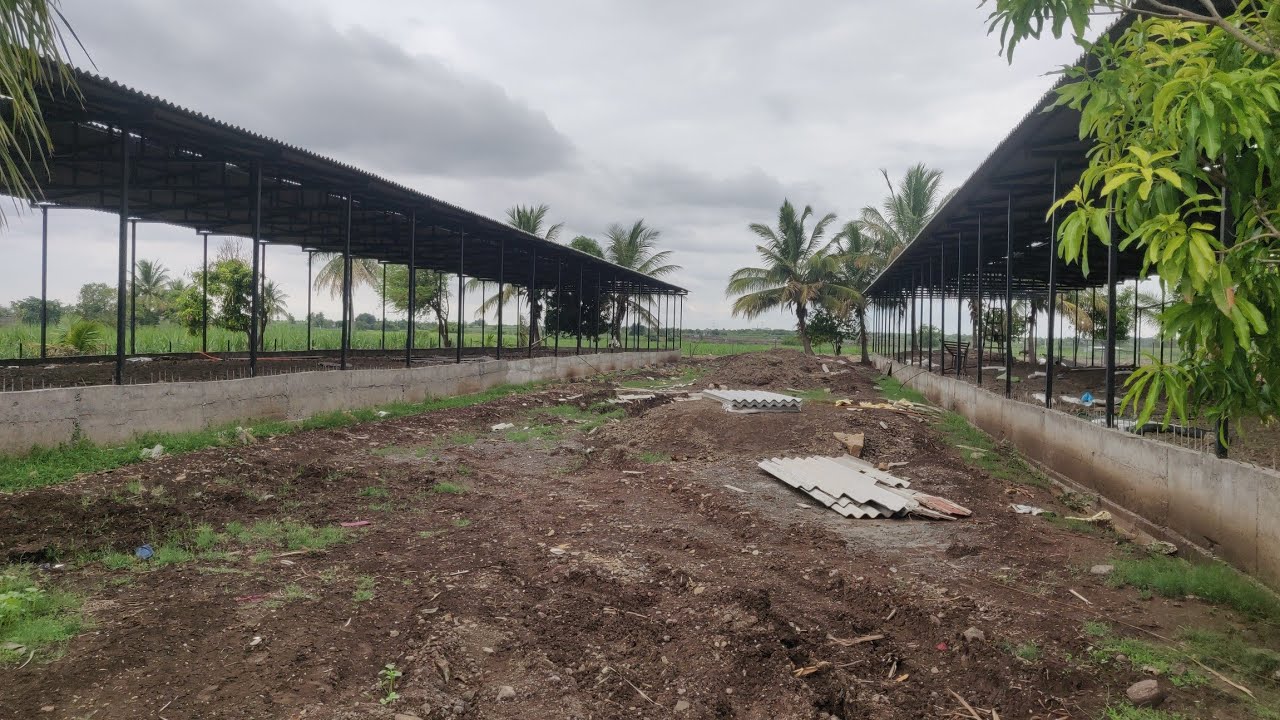 Construction of Poultry Shed । Poultry Farm । Goat Farm । कुक्कुटपालन