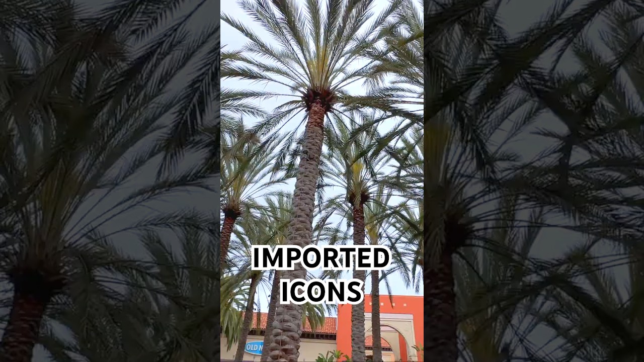 🇺🇸🌴 CALIFORNIA Fun Fact 🌴 В Лос-Анджелесе пальмы &mdash; приезжие. Их завезли ради красоты! #shorts